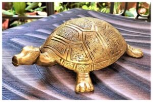 Tortoise Vastu Tips