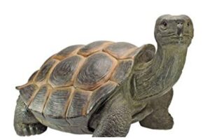Tortoise Vastu Tips
