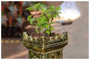 Vastu Tips For Home