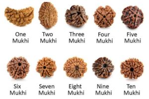 Rudraksha Benefits