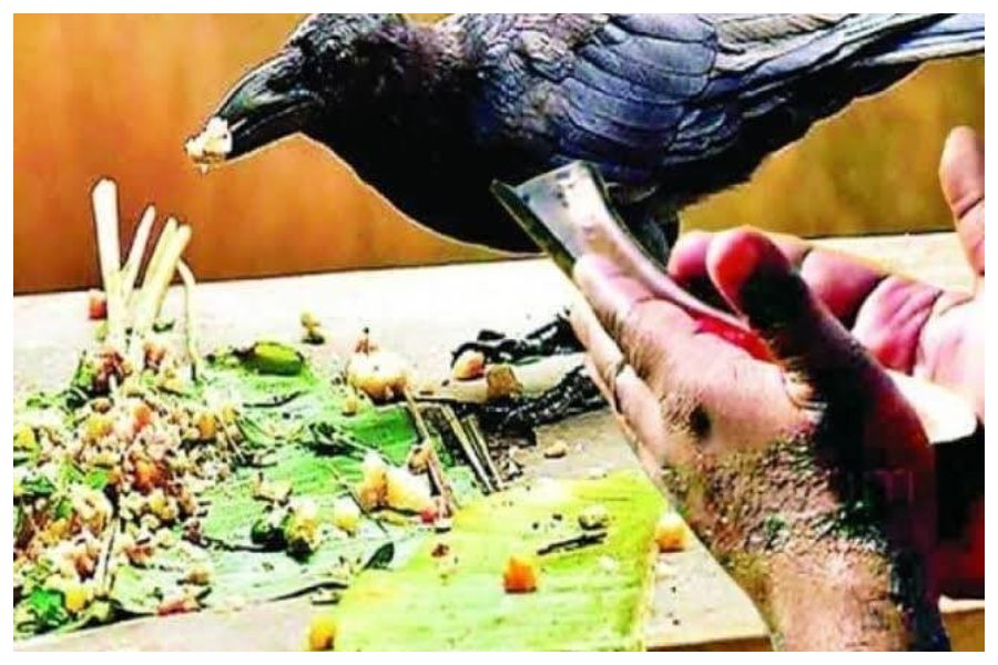 Pitra Paksha 2023