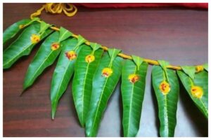 Mango Leaves Vastu Tips