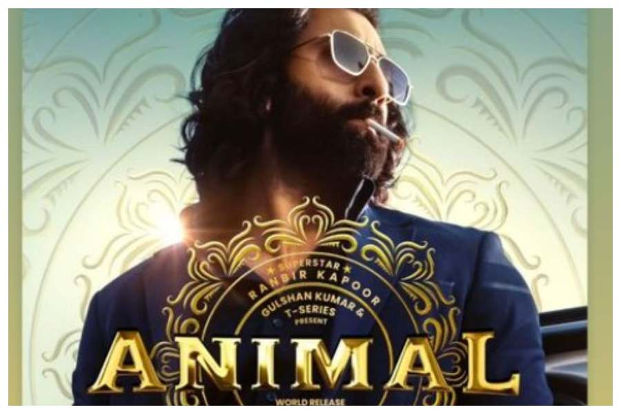 Animal 