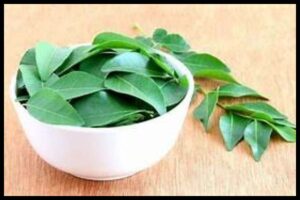 Curry Leaves Benefits