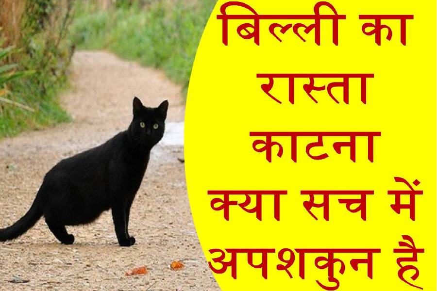 Billi Ka Rasta Katna Astro Remedies