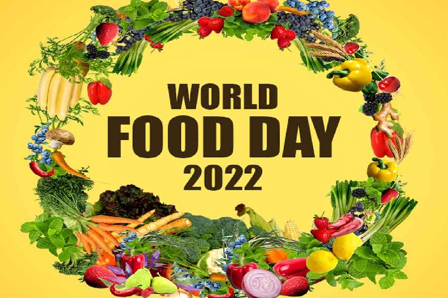 World Food Day 16 October Wishes Slogans