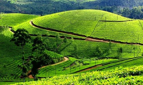 IRCTC Kerala tour package