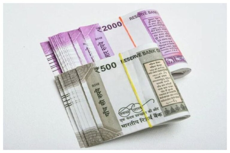 Business Idea: साल भर कमाएं मोटा पैसा, जानें कैसे करेंगे इस बिजनेस को शुरू