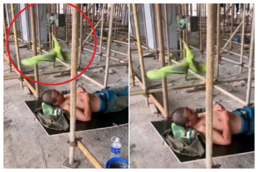 a man make ceiling fan with desi jugaad viral video Desi Jugaad Video
