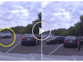 Car Accident Video