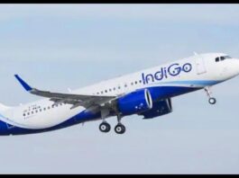 Indigo flight