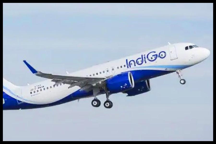 Indigo flight