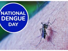 National Dengue Day 2023