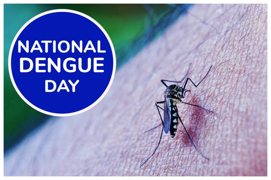 National Dengue Day 2023