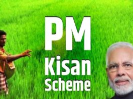 PM Kisan Samman Nidhi, PM Kisan Samman Nidhi Yojana, PM Kisan Yojana