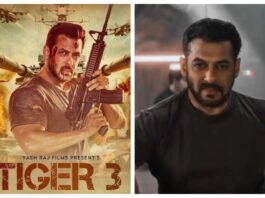 Salman Khan's Tiger 3