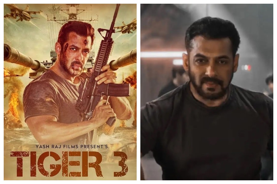 Salman Khan's Tiger 3