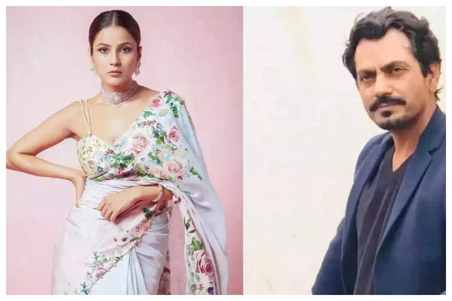 Shehnaaz gill calls Nawazuddin Siddiqui "God of acting"