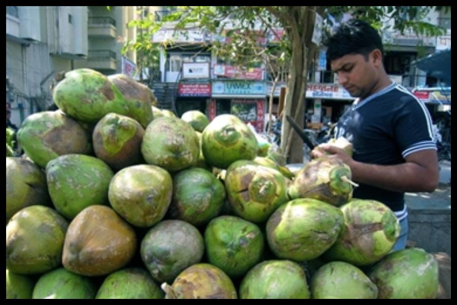 Tips To Choose Nariyal Paani