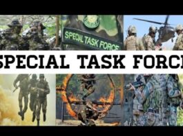 Yogi's special task force