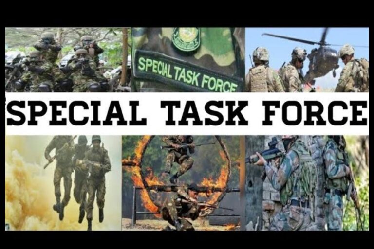 Yogi's special task force