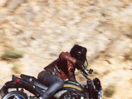 Cruiser Bike Kawasaki Z900RS