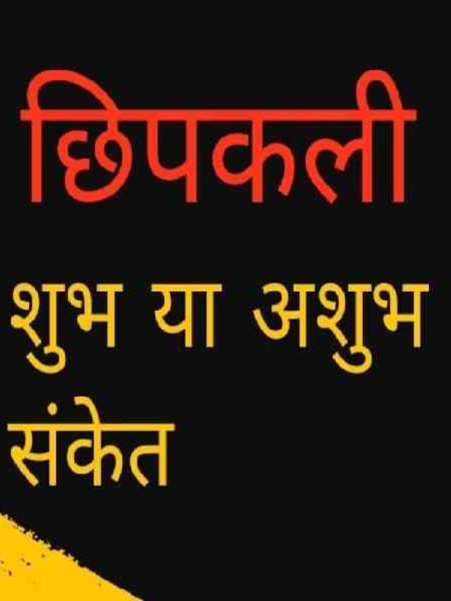 Lizard Vastu Tips In Hindi