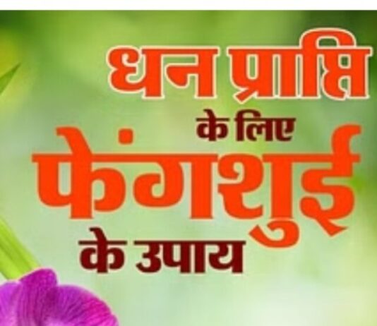 Feng Shui Tips: फेंगशुई की इन वस्तुओं को घर-ऑफिस में रखने से बढ़ता है धन MQ10 (1)