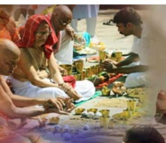 Pitra Dosh Upay: पितृ दोष के दुष्प्रभाव से बचने के उपाय जानें यहां pt8