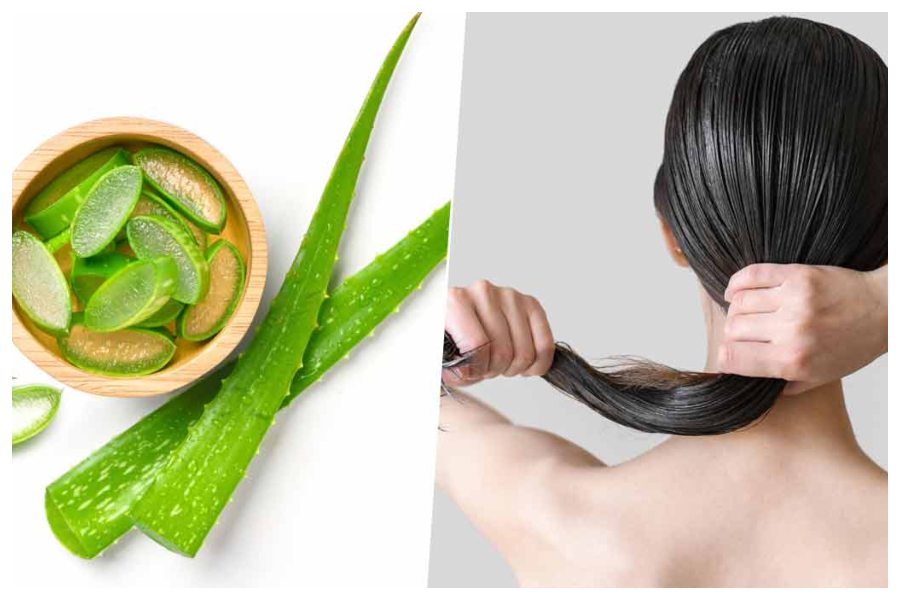 Aloevera Benefits for hair