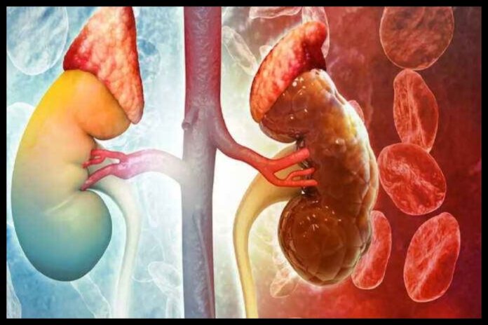 Brinjal Side Effects