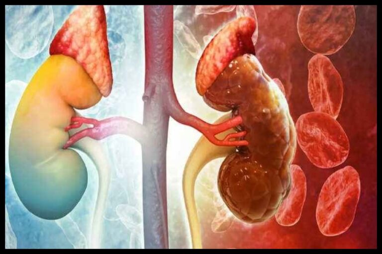 Brinjal Side Effects