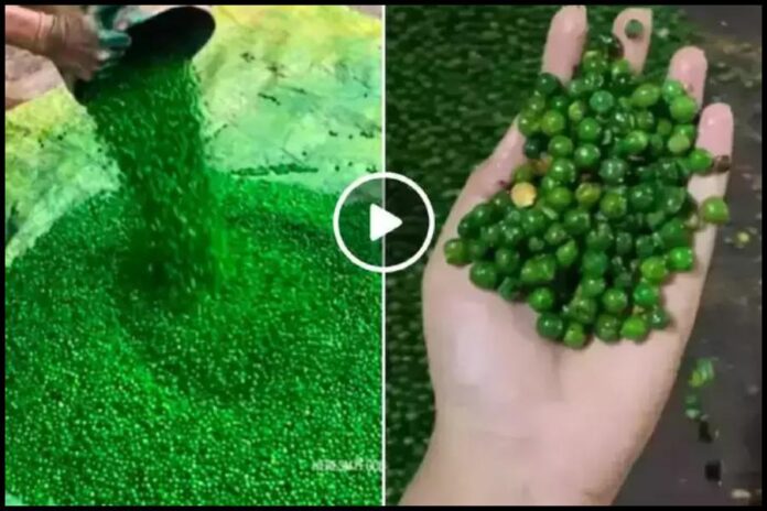 Green Peas Video
