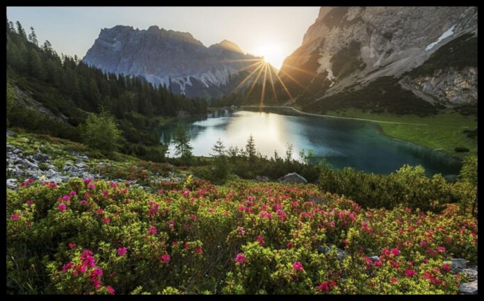 Nature Nature