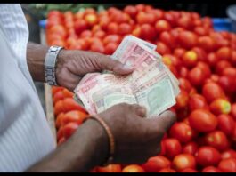 Tomato Price Today