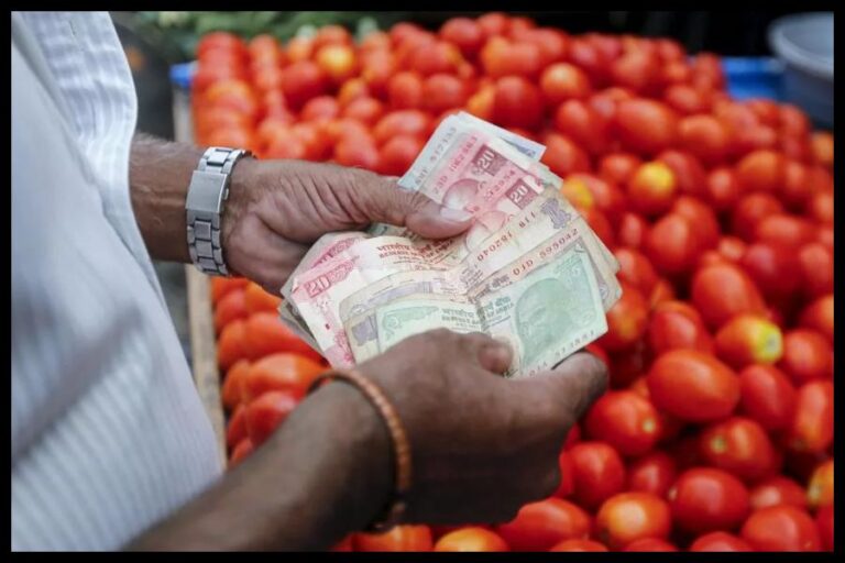 Tomato Price Today