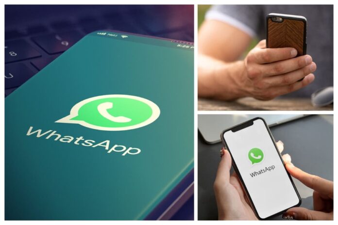 WhatsApp New Feature