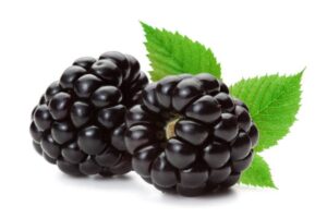 Eating Blackberry Benefits
