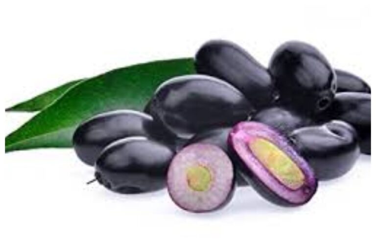Eating Blackberry Benefits: गर्मियों में काला जामुन खाने के है अनेकों फायदे