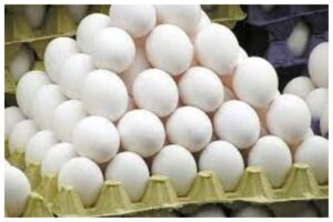 Fake Eggs in Market