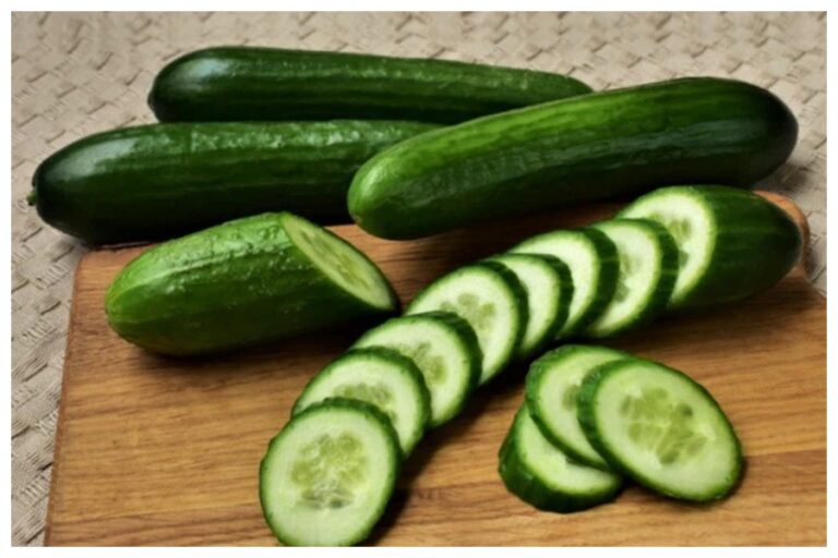 Cucumber Benefits and Loses: अगर आप भी गर्मियों में करते हैं खीरे का सेवन तो पहले जान ले इसके कुछ फायदे और नुकसान