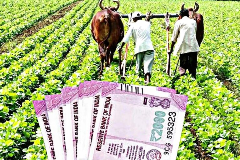 PM Kisan Yojana: 13 करोड़ किसान होने जा रहे मालामाल, इस दिन आएगी अगली किस्त