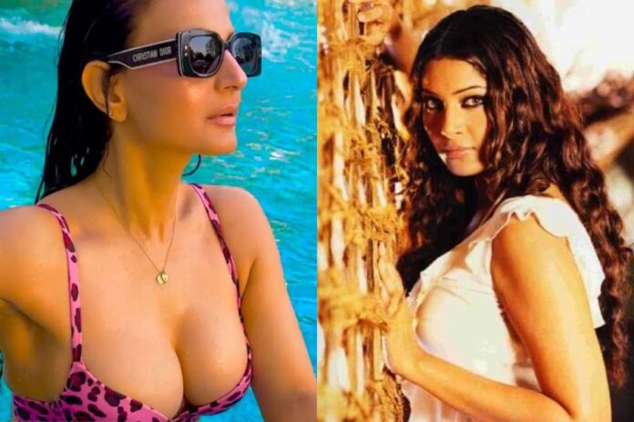 Ameesha Patel Brutally Trolled Ameesha Patel Brutally Trolled