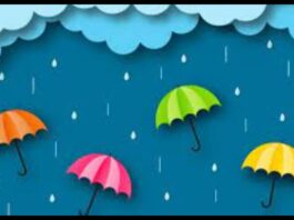 Business Ideas For Rainy Season