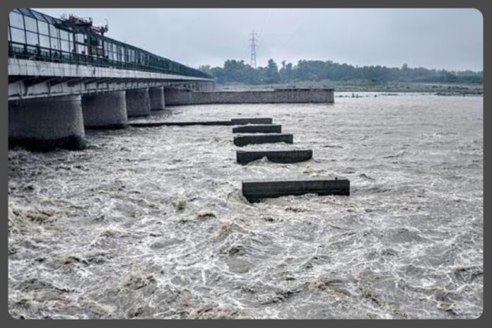 Delhi Yamuna Water Level