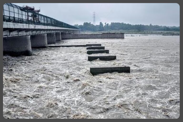 Delhi Yamuna Water Level