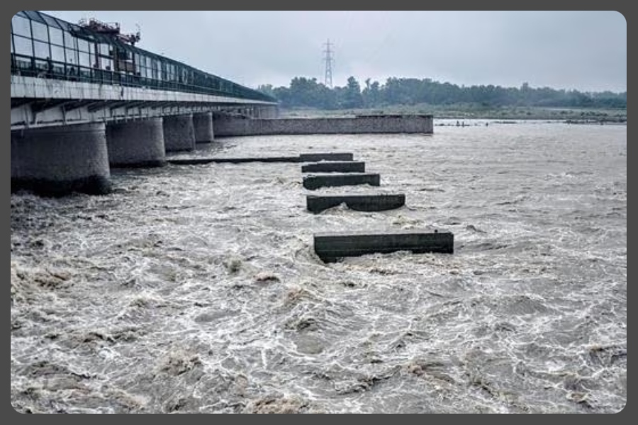 Delhi Yamuna Water Level Delhi Yamuna Water Level
