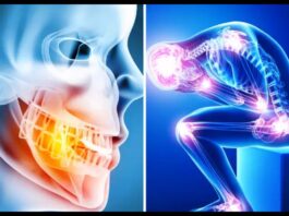Human Body Fact