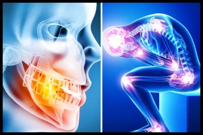 Human Body Fact
