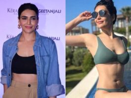 Karishma Tanna Return To Tv Industry